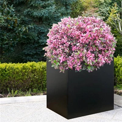 Jardinière en acier patiné série Metal